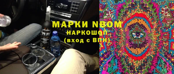 стаф Верея
