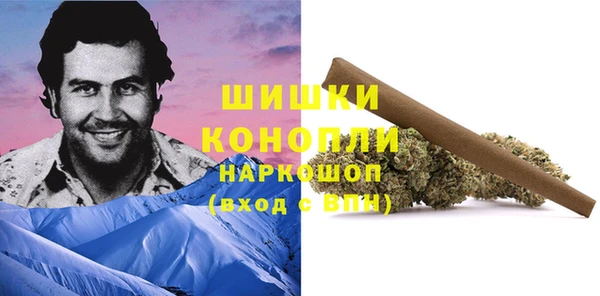 стаф Верея
