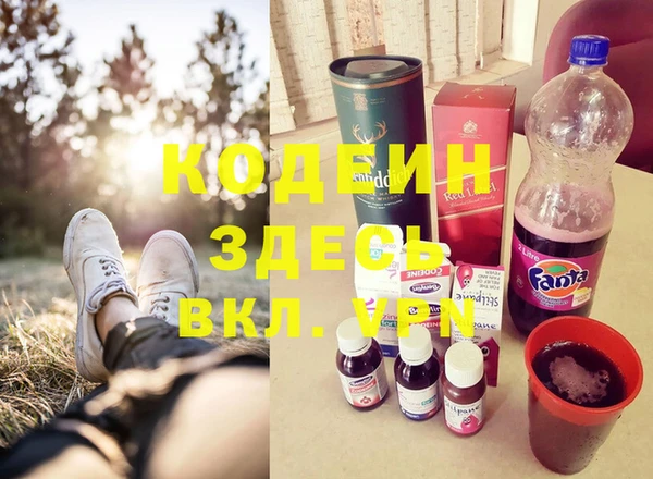 стаф Верея