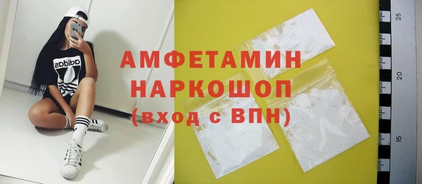 стаф Верея