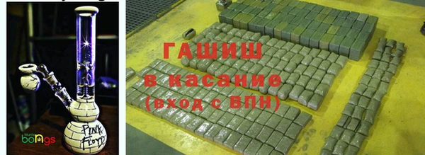 стаф Верея